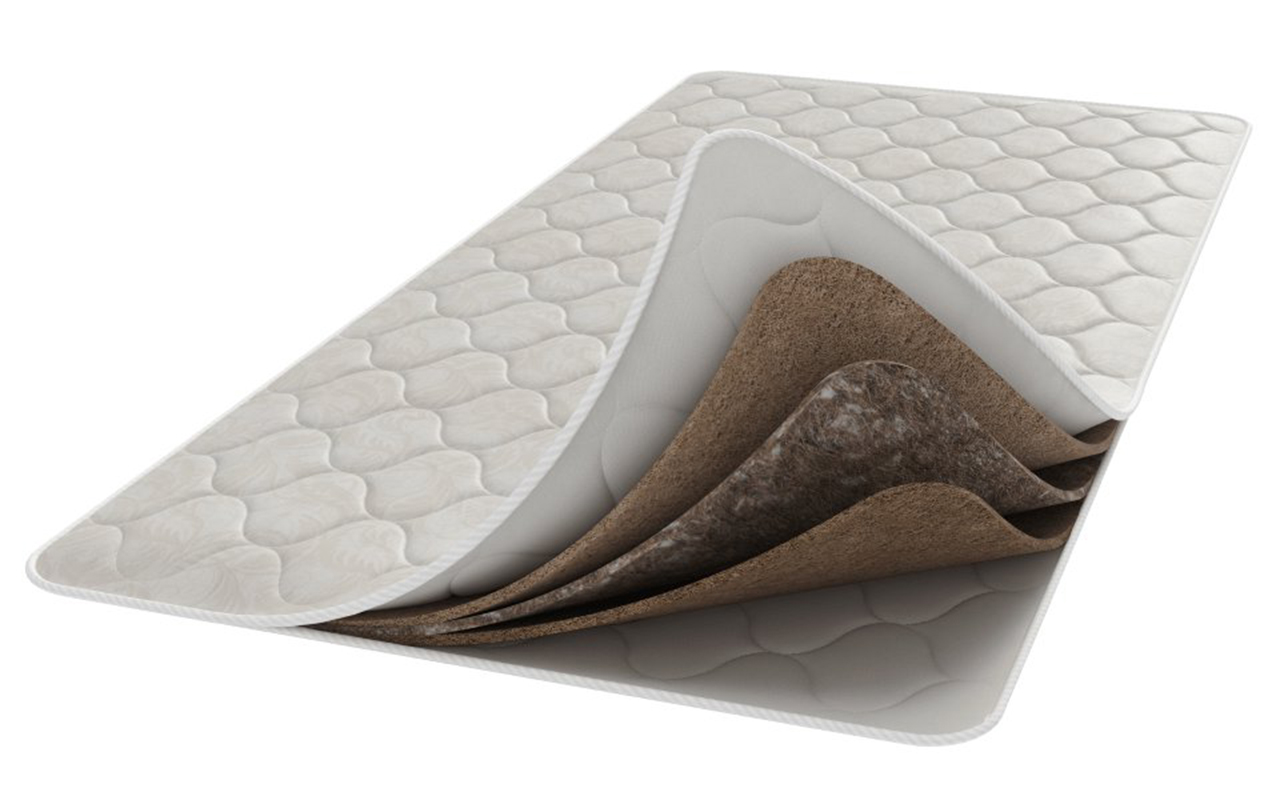 Райтон Жасмин